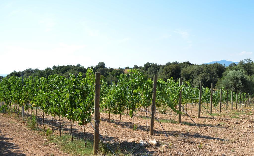 Villa Tenuta Di Maro Sticciano Exterior foto
